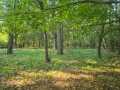 Chippewa Falls Land Real Estate