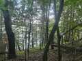 Chippewa Falls Land Real Estate