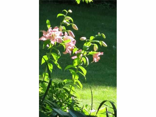 Chippewa Falls Residential Real Estate