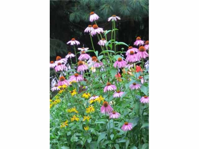 Chippewa Falls Residential Real Estate