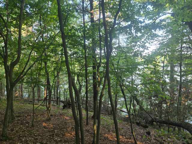 Chippewa Falls Land Real Estate