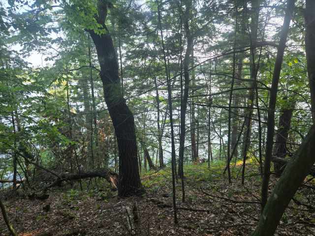 Chippewa Falls Land Real Estate