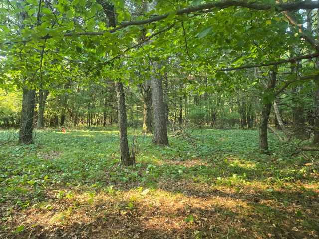 Chippewa Falls Land Real Estate