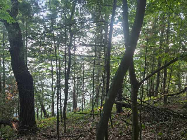 Chippewa Falls Land Real Estate