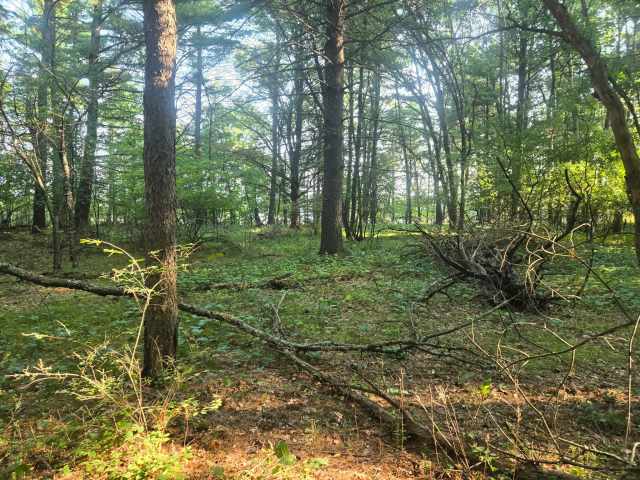 Chippewa Falls Land Real Estate